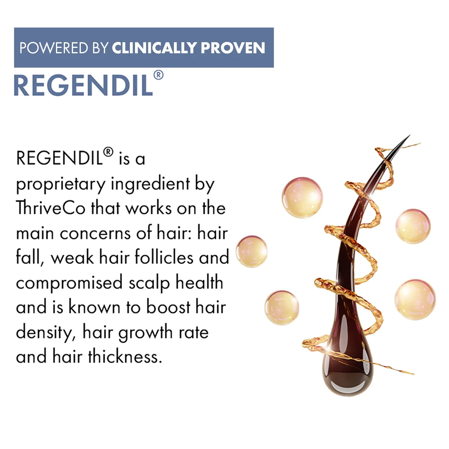 ThriveCo Hair Growth Serum 2.0 For Men, 50ML - Image 5