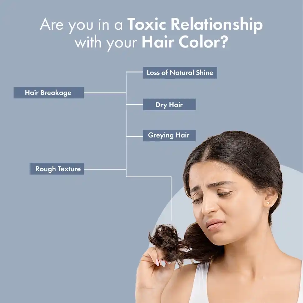 Hair Color Range - Image 6